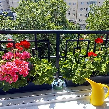 33 Coquette Apartment Бая-Маре Экстерьер фото