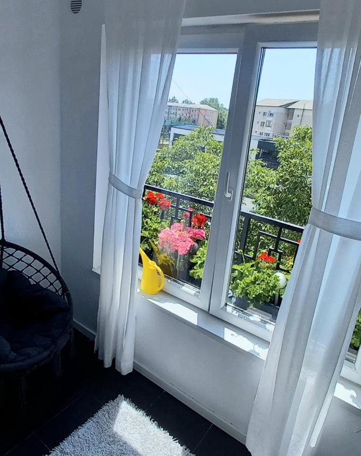 33 Coquette Apartment Бая-Маре Экстерьер фото